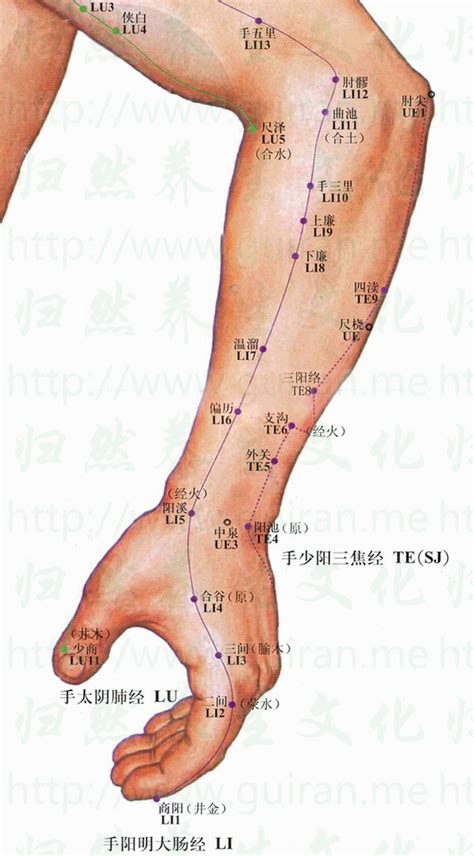 三間穴位置|合谷穴是人體最重要的萬能穴道，一定要學！